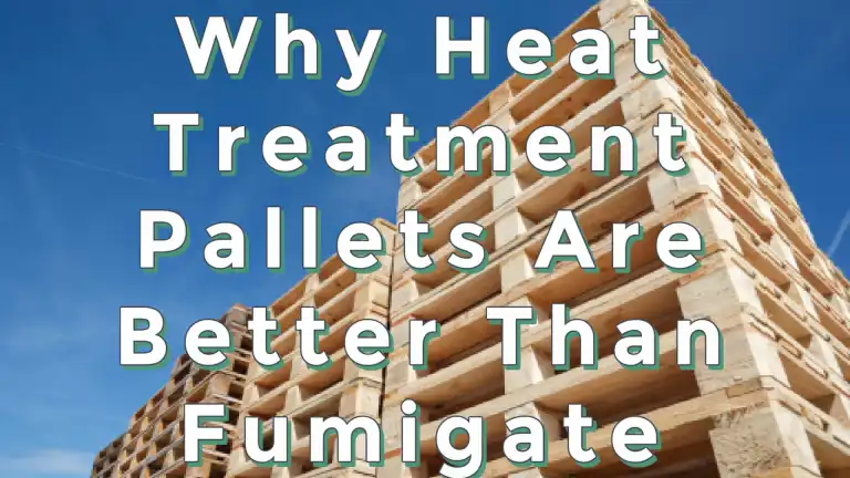 Why Heat Treatment Pallets Are Better Than Fumigate