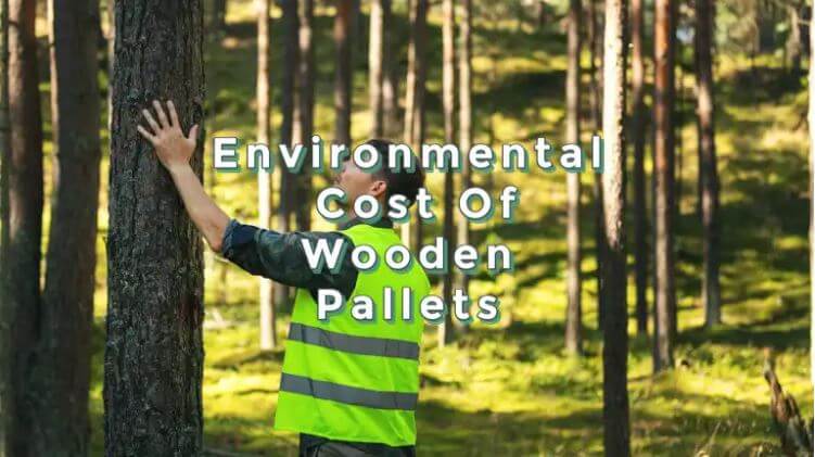 Environmental Cost Of Wooden Pallets