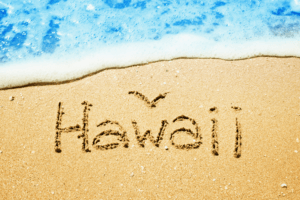 Best Pallet Suppliers in Hawaii