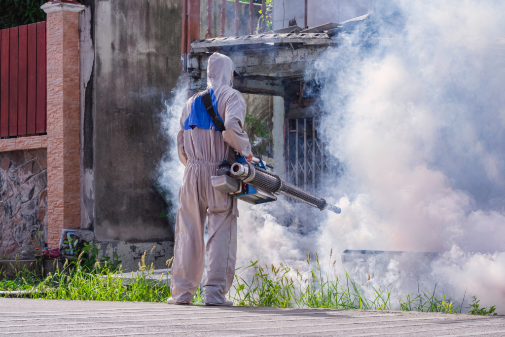 Fumigation or Heat Treatment for Pallets: Which Is Better?