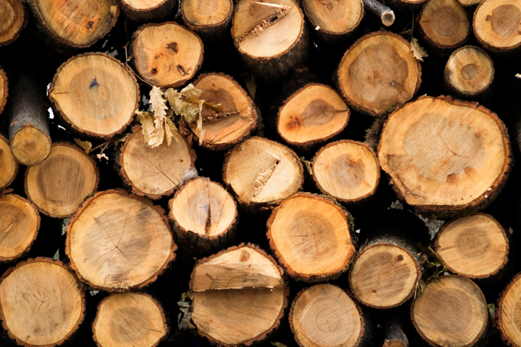 Hardwood or Softwood Pallets: Costs, Durability, and More