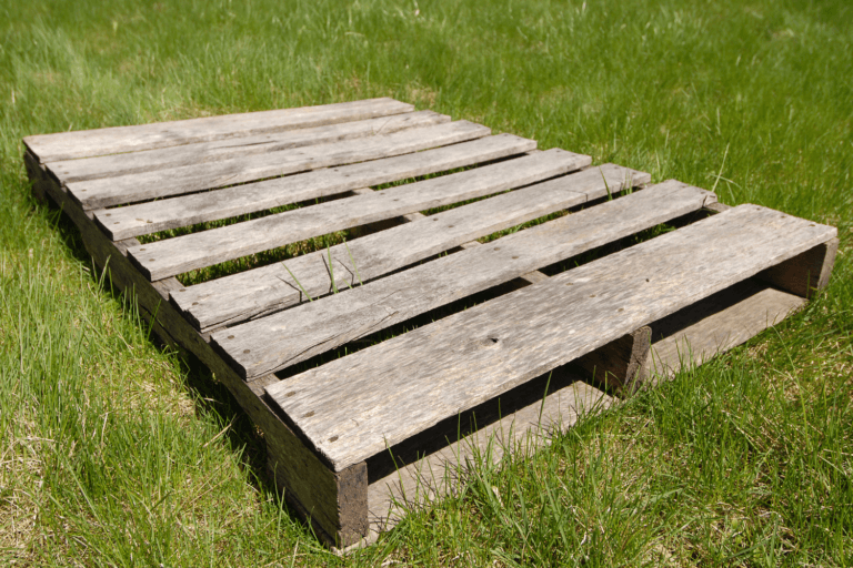 What Are GMA Pallets? Composition, Uses, and More